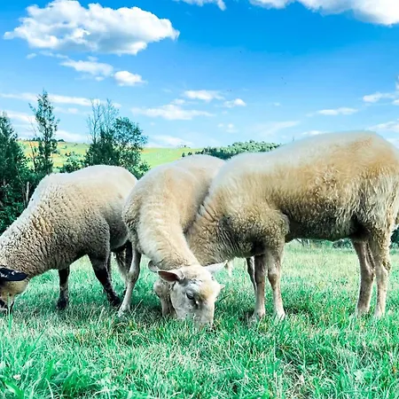 Farm stay U Lawendowej Wiedzmy *