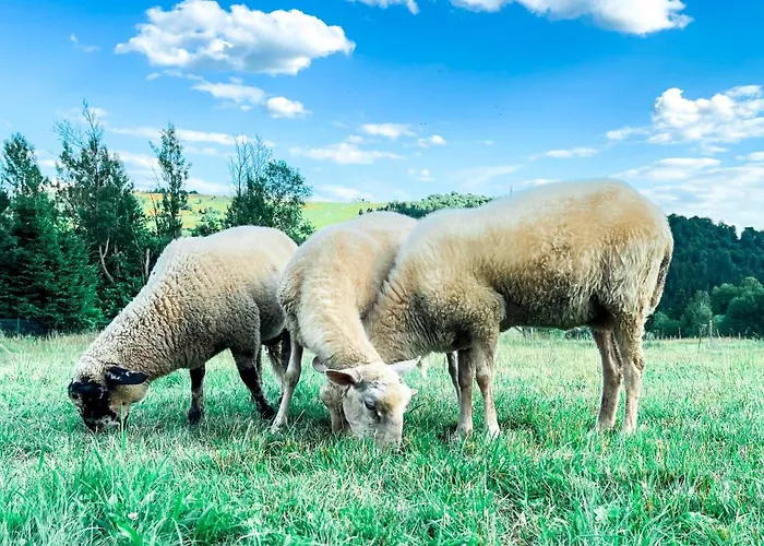 Vakantieboerderij U Lawendowej Wiedzmy *